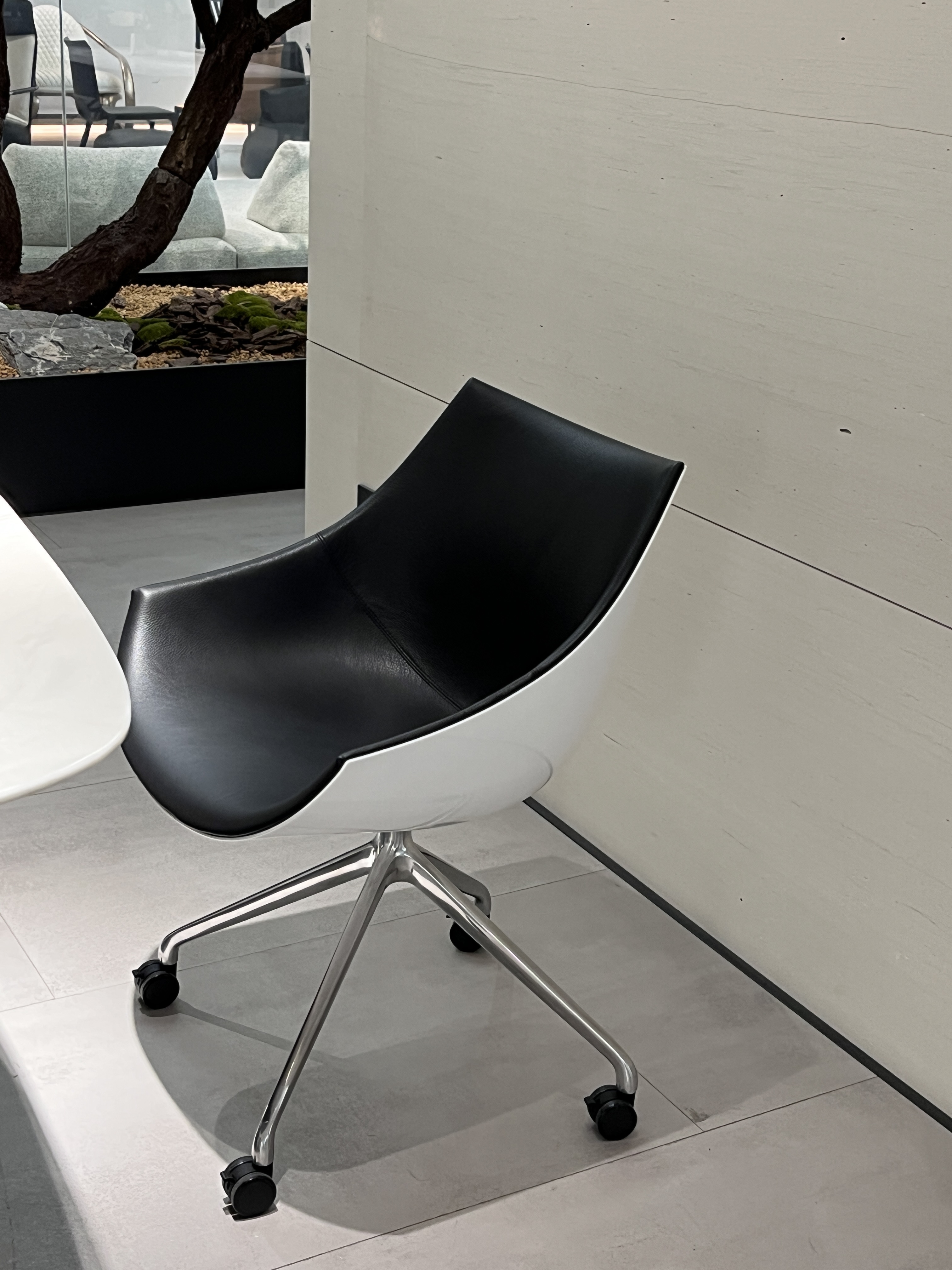 圖片_20260122103722_1387_36